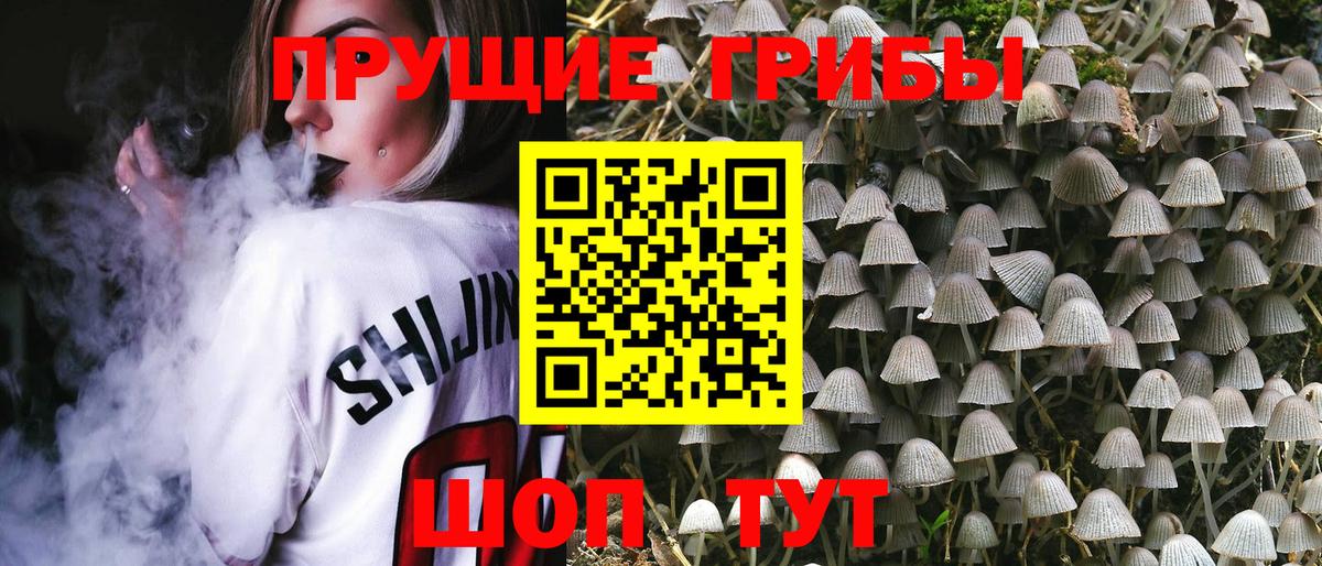Псилоцибиновые грибы Magic Shrooms  Вход с VPN  Лысьва 